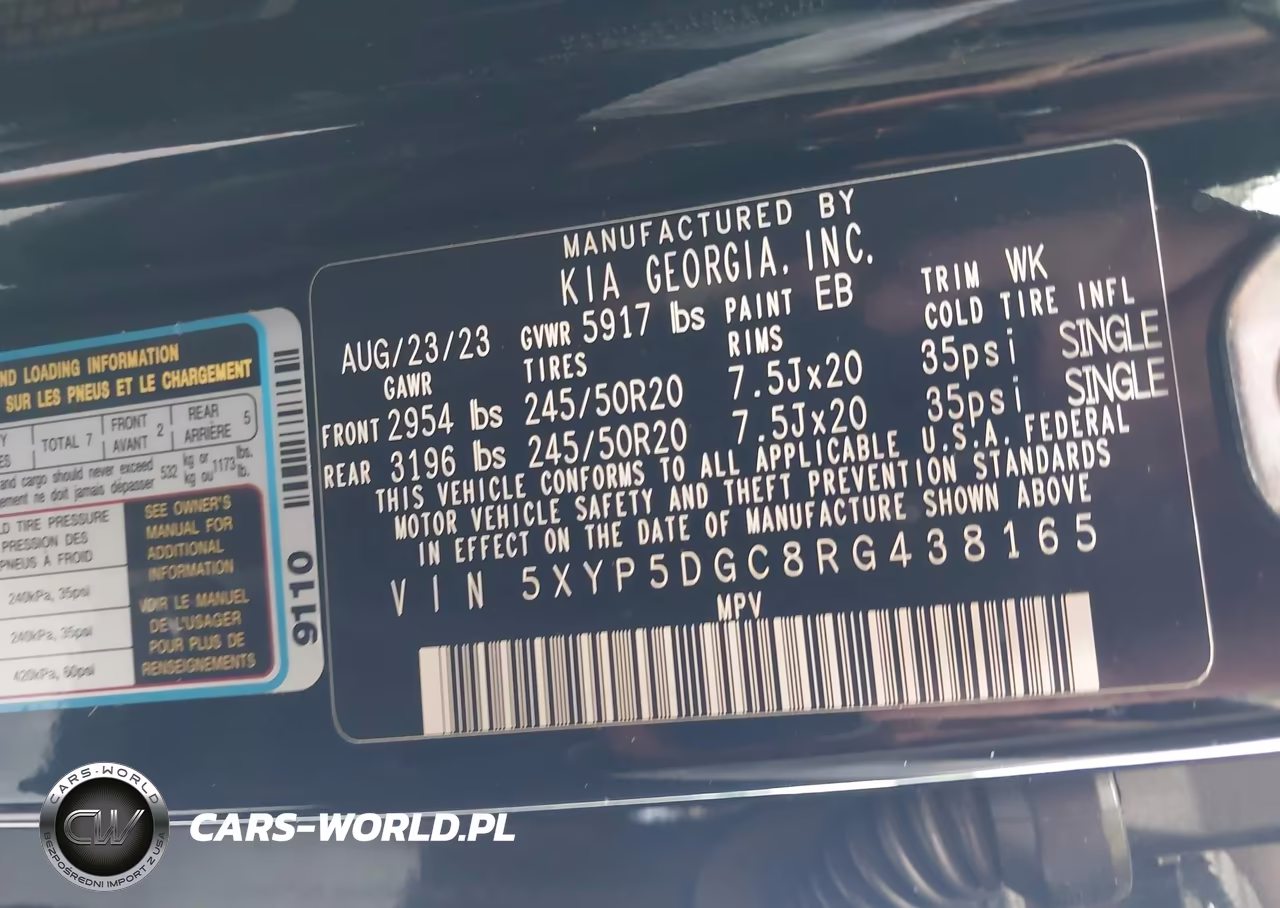 2024 Kia Telluride Sx X-Line VIN:5XYP5DGC8RG438165 - 9