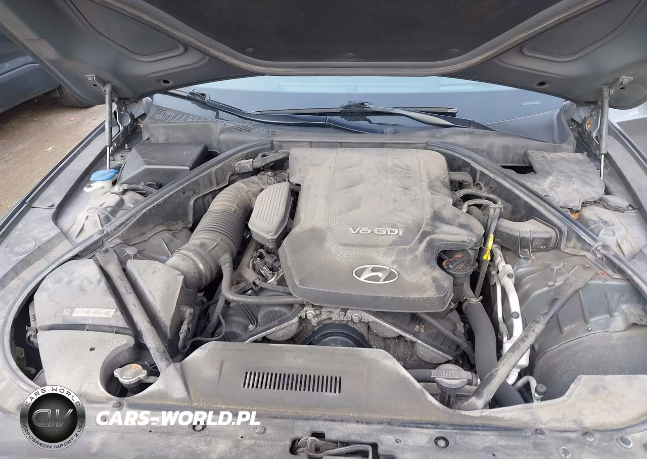 2016 Hyundai Genesis 3.8 VIN:KMHGN4JE9GU128687 - 10