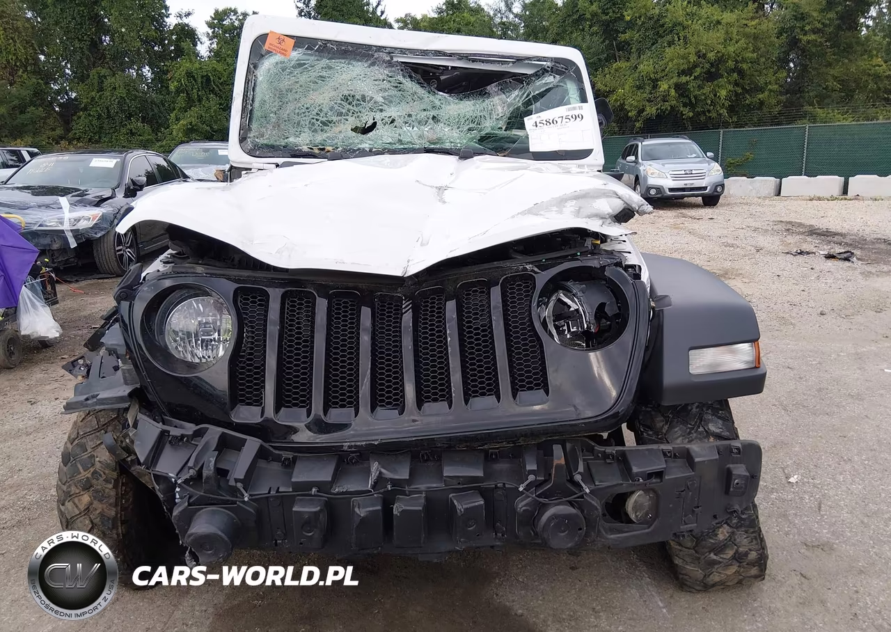 2020 Jeep Wrangler Willys Sport 4X4 VIN:1C4GJXAN4LW350795 - 11