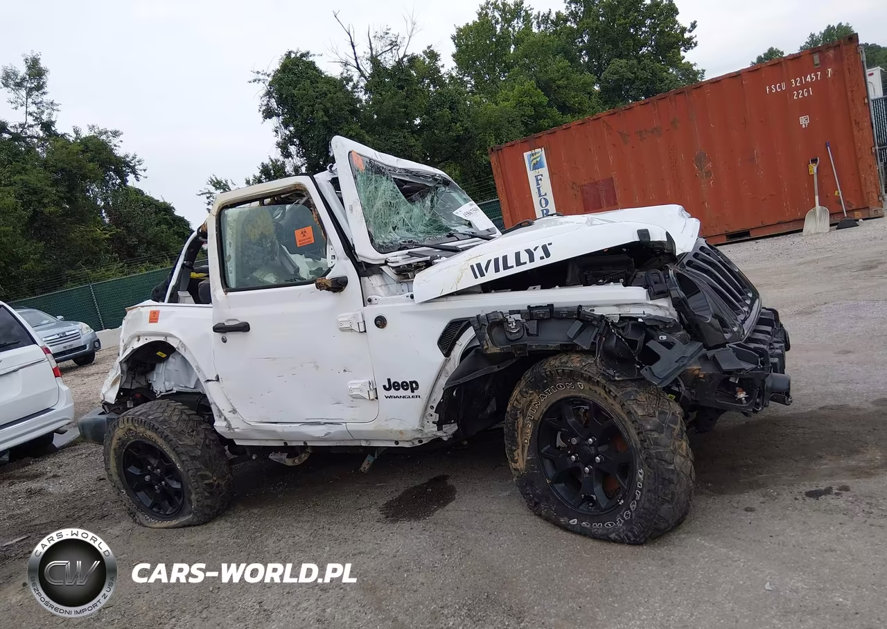 2020 Jeep Wrangler Willys Sport 4X4 VIN:1C4GJXAN4LW350795 - 12