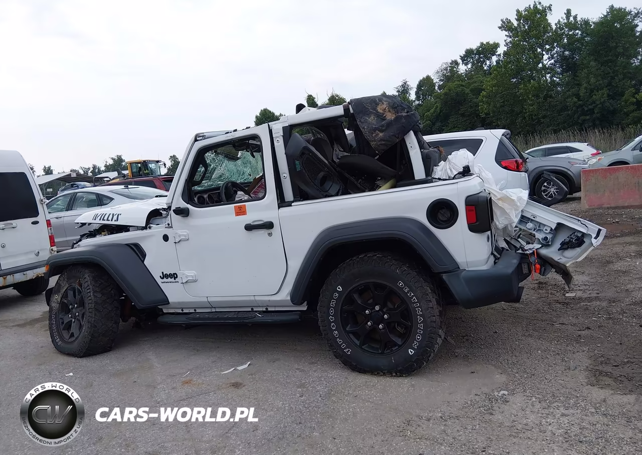 2020 Jeep Wrangler Willys Sport 4X4 VIN:1C4GJXAN4LW350795 - 13