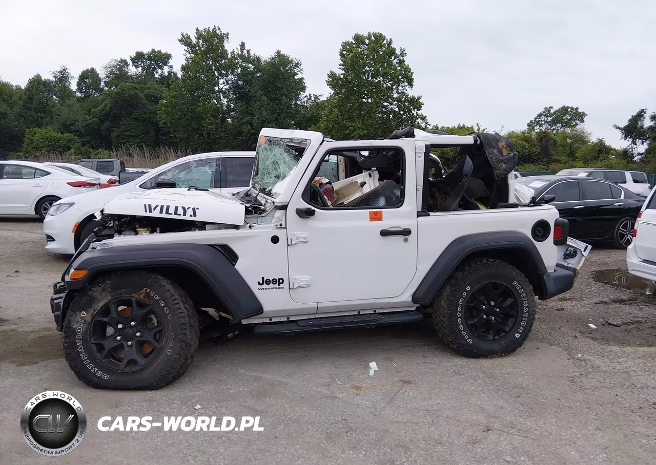 2020 Jeep Wrangler Willys Sport 4X4 VIN:1C4GJXAN4LW350795 - 17