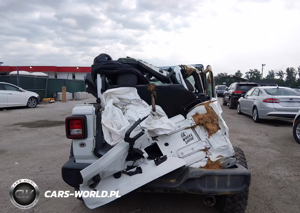 2020 Jeep Wrangler Willys Sport 4X4 VIN:1C4GJXAN4LW350795 - 18