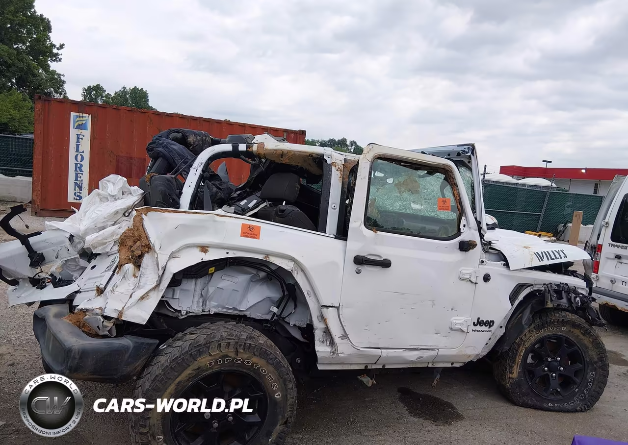 2020 Jeep Wrangler Willys Sport 4X4 VIN:1C4GJXAN4LW350795 - 19