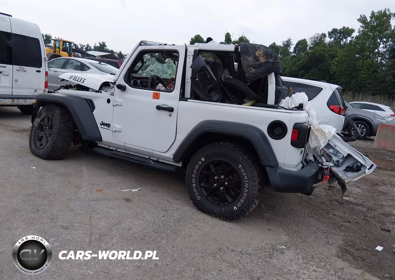 2020 Jeep Wrangler Willys Sport 4X4 VIN:1C4GJXAN4LW350795 - 3
