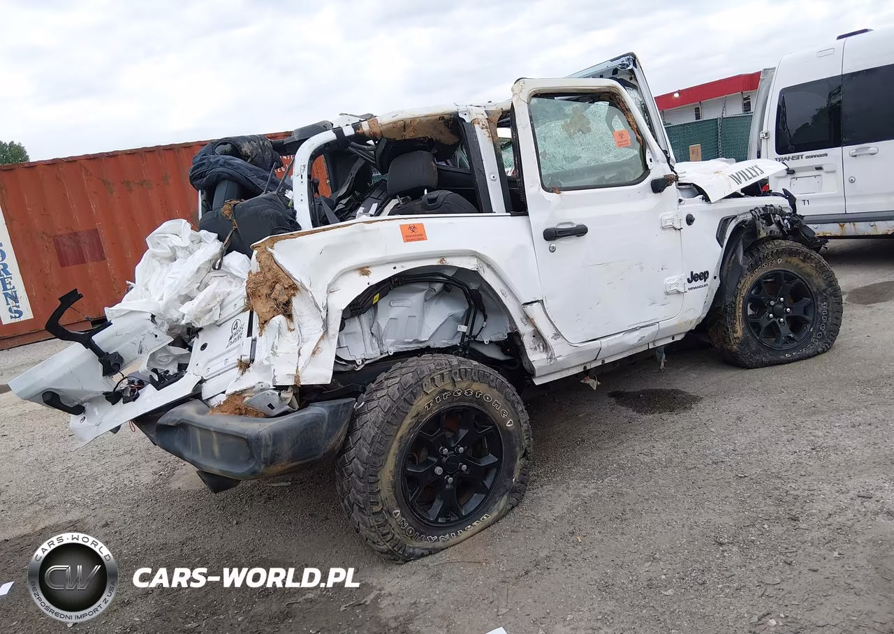 2020 Jeep Wrangler Willys Sport 4X4 VIN:1C4GJXAN4LW350795 - 4