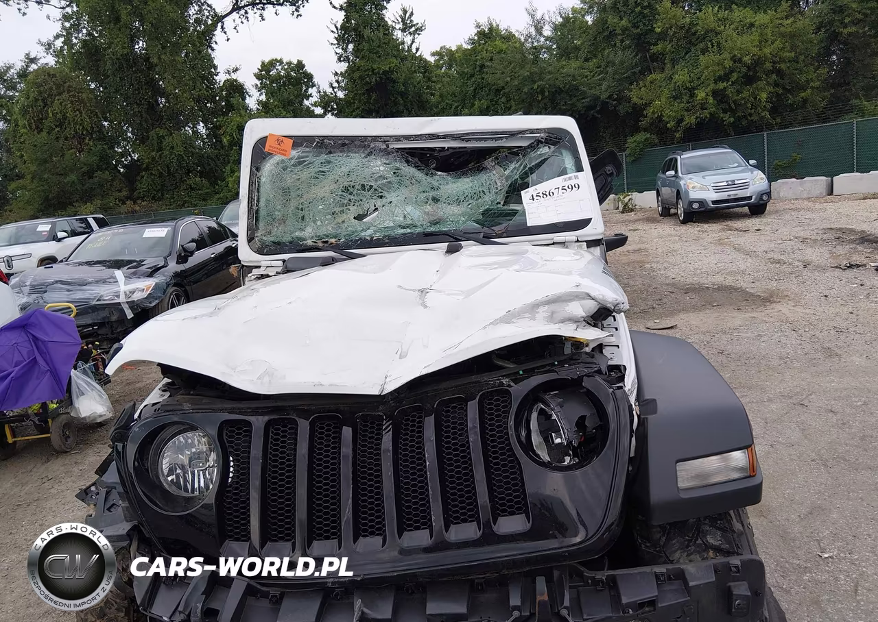 2020 Jeep Wrangler Willys Sport 4X4 VIN:1C4GJXAN4LW350795 - 6