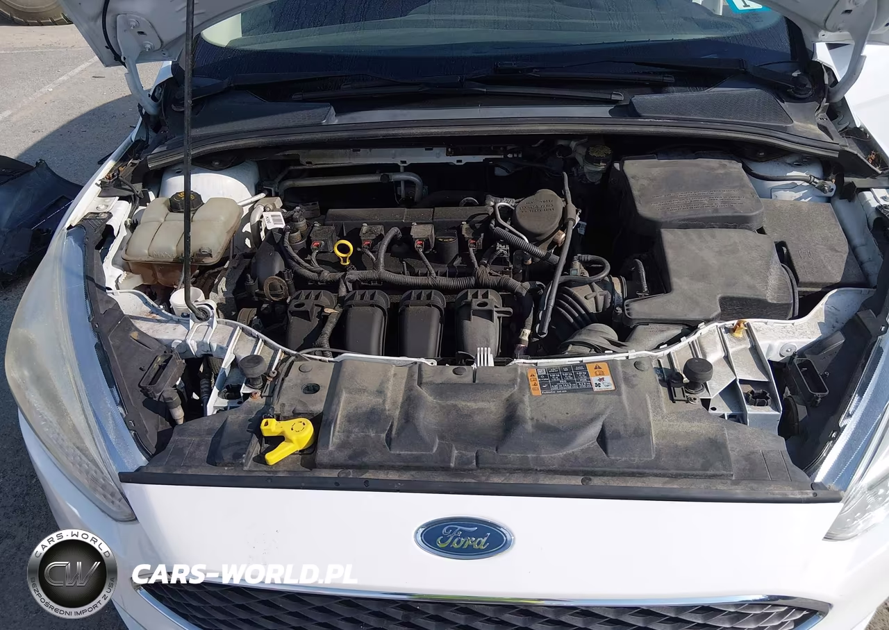 2015 Ford Focus Se VIN:1FADP3F22FL201449 - 10