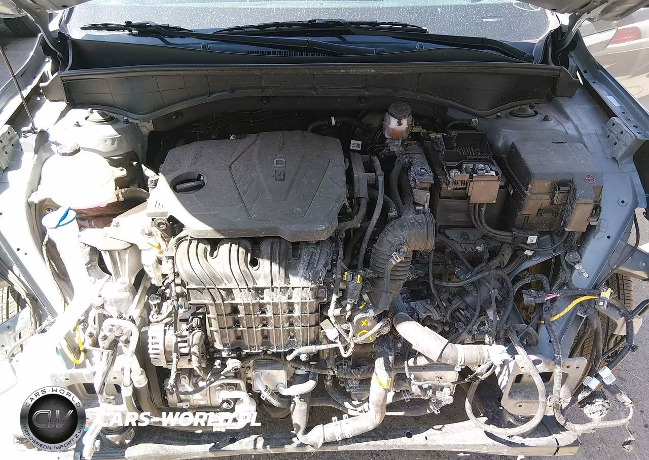 2024 Kia Sorento S VIN:5XYRLDJC6RG291691 - 10