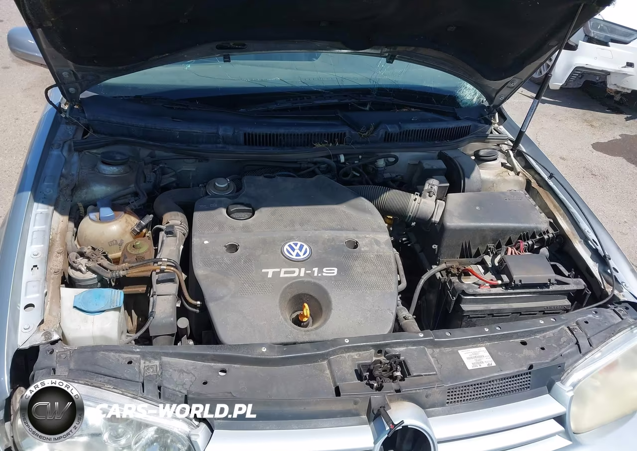 2002 Volkswagen Golf Gls VIN:9BWGP61J024059586 - 10