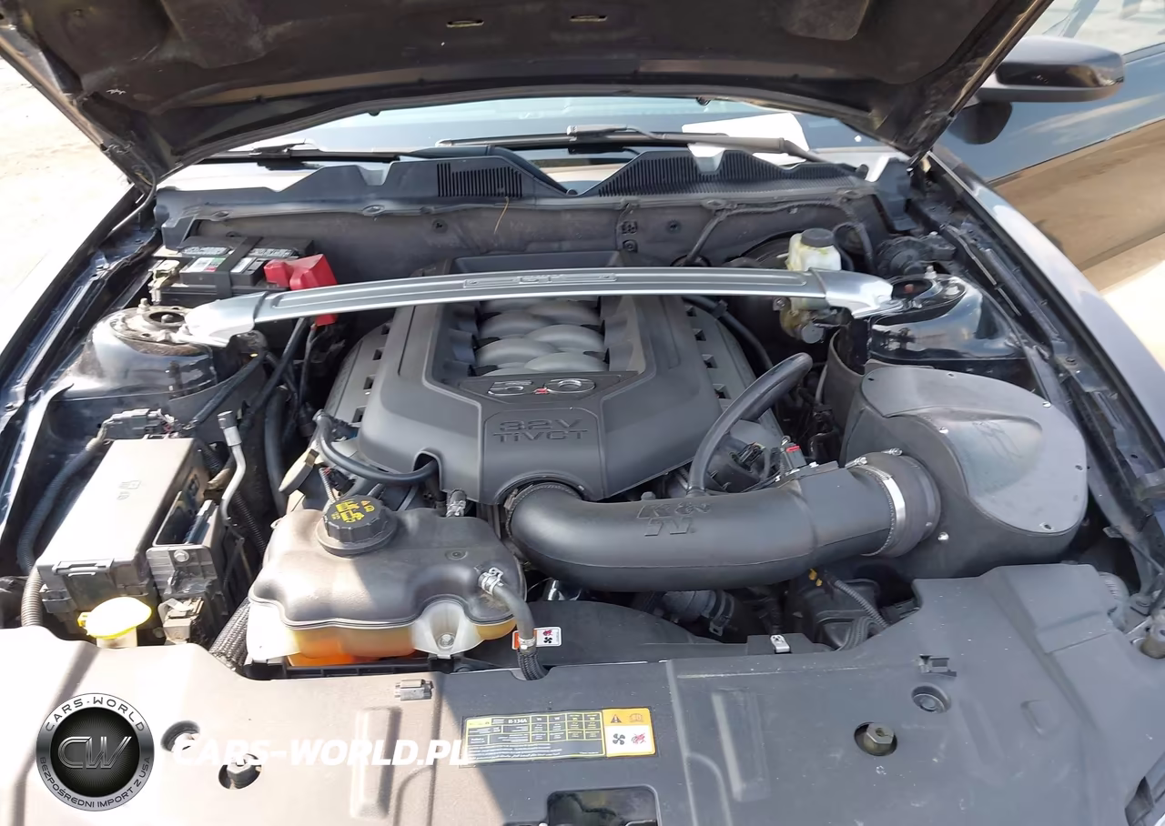 2014 Ford Mustang Gt VIN:1ZVBP8CF1E5206129 - 10