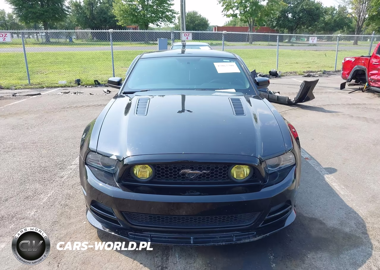 2014 Ford Mustang Gt VIN:1ZVBP8CF1E5206129 - 12