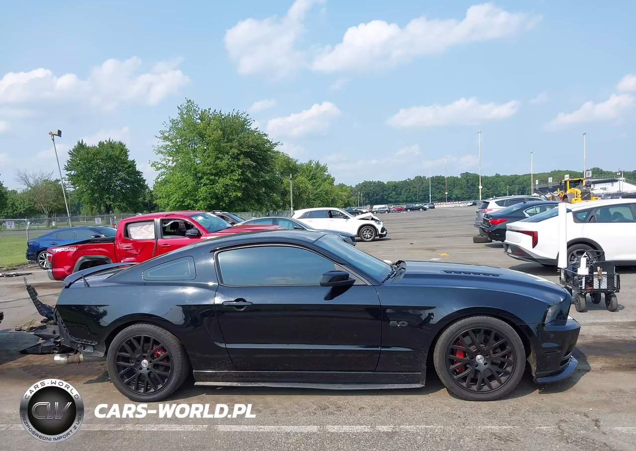 2014 Ford Mustang Gt VIN:1ZVBP8CF1E5206129 - 13
