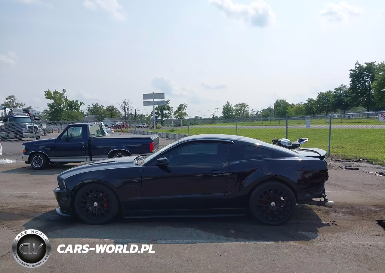 2014 Ford Mustang Gt VIN:1ZVBP8CF1E5206129 - 14
