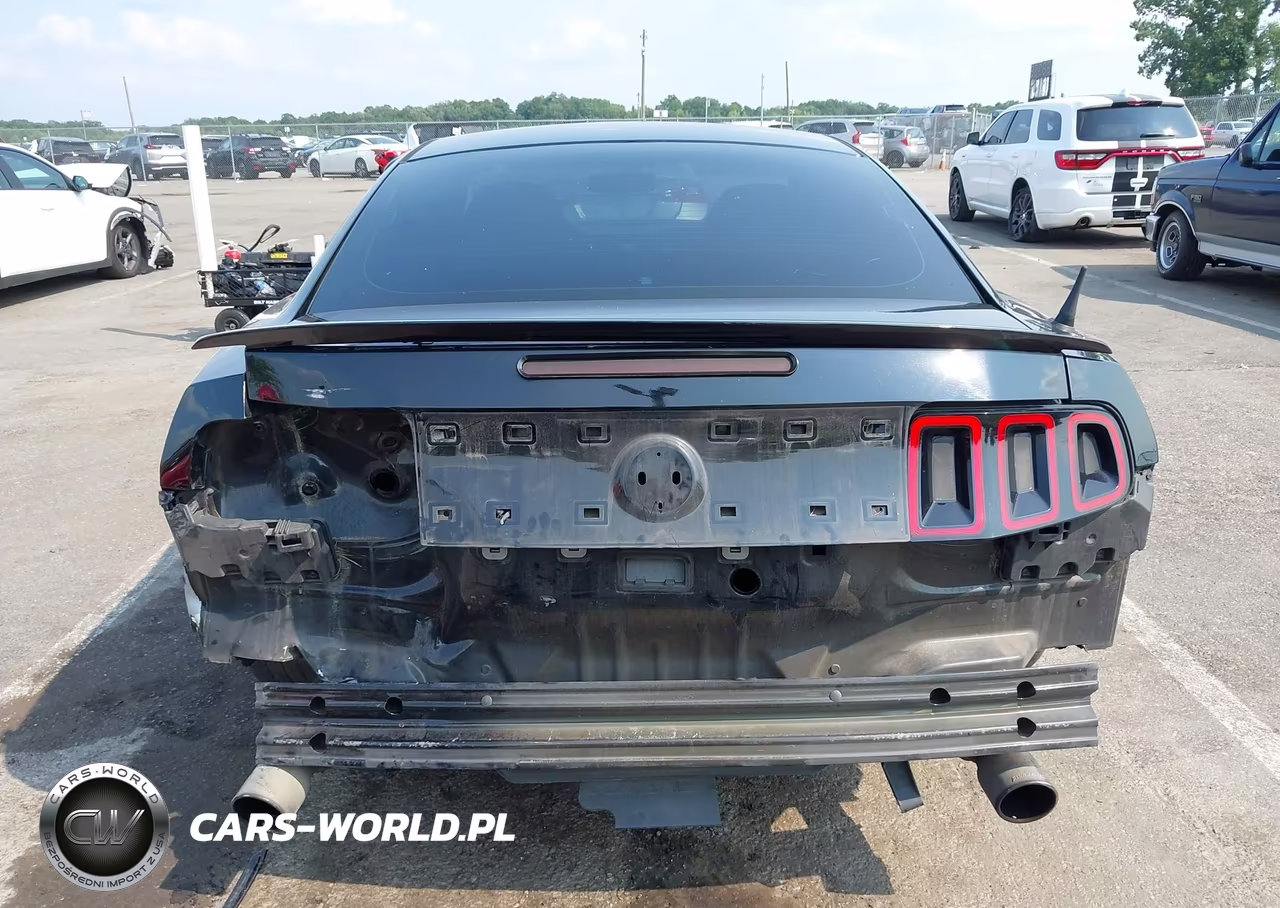 2014 Ford Mustang Gt VIN:1ZVBP8CF1E5206129 - 16