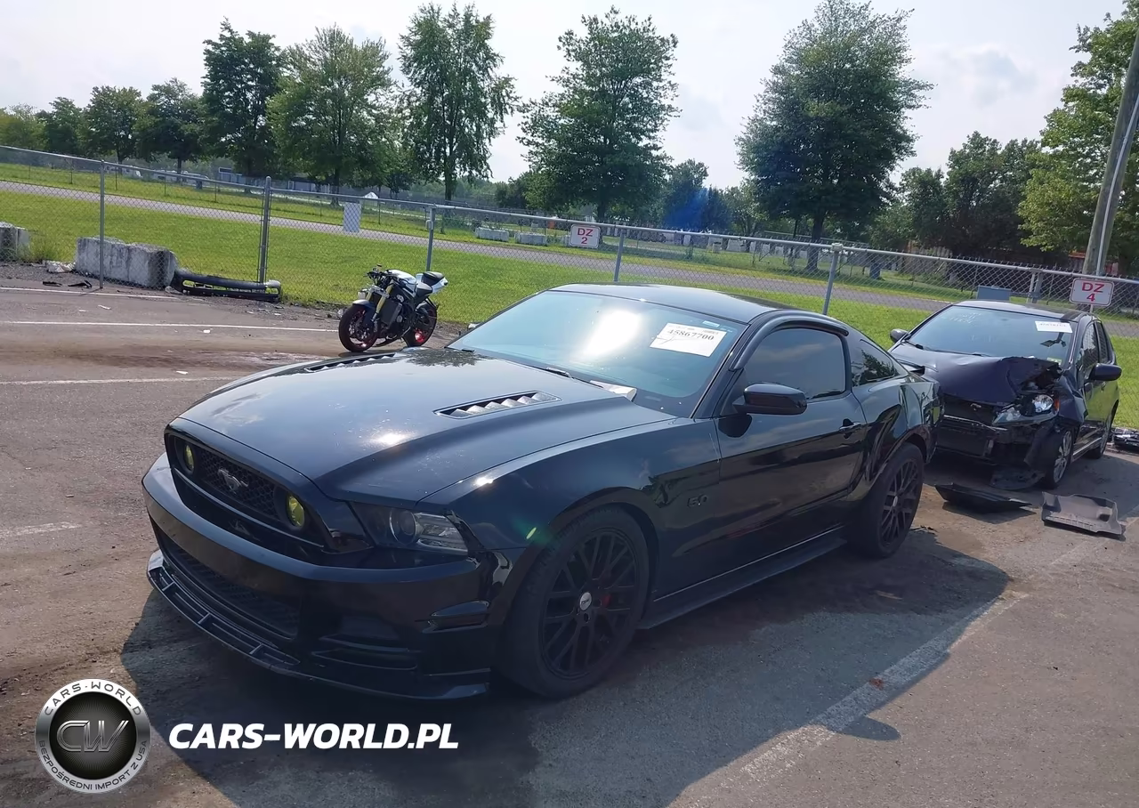 2014 Ford Mustang Gt VIN:1ZVBP8CF1E5206129 - 2