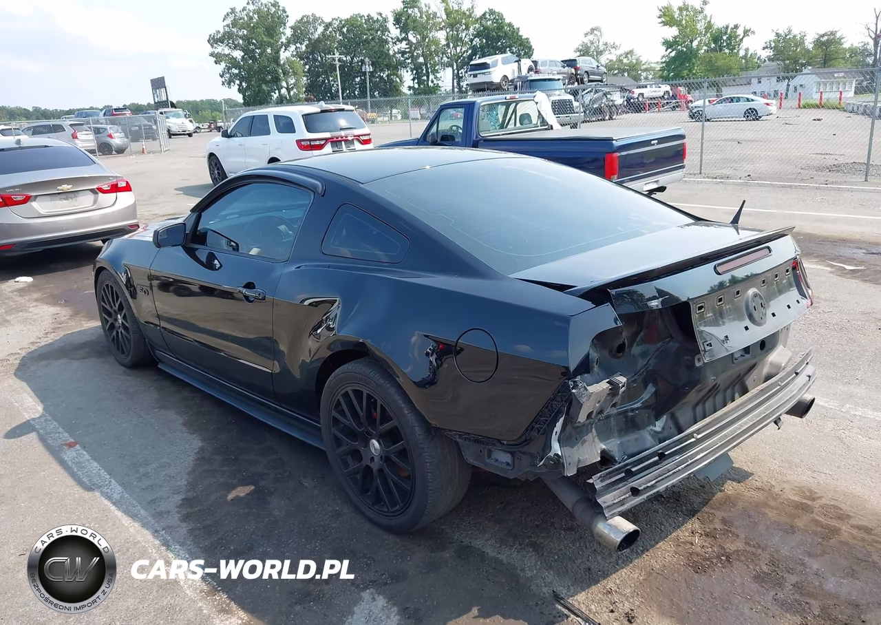 2014 Ford Mustang Gt VIN:1ZVBP8CF1E5206129 - 3
