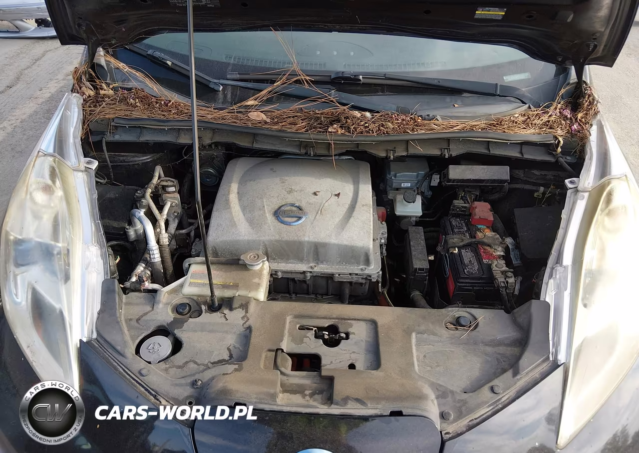 2013 Nissan Leaf Sv VIN:1N4AZ0CP6DC421055 - 10