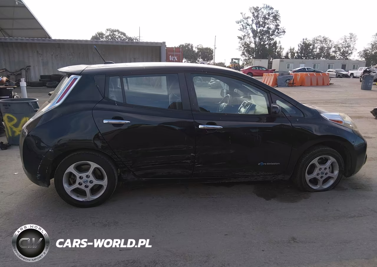 2013 Nissan Leaf Sv VIN:1N4AZ0CP6DC421055 - 13