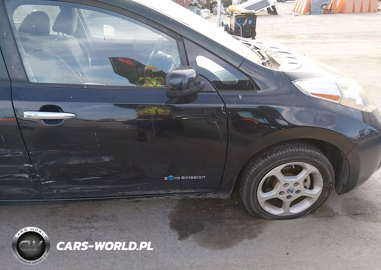 2013 Nissan Leaf Sv VIN:1N4AZ0CP6DC421055 - 19