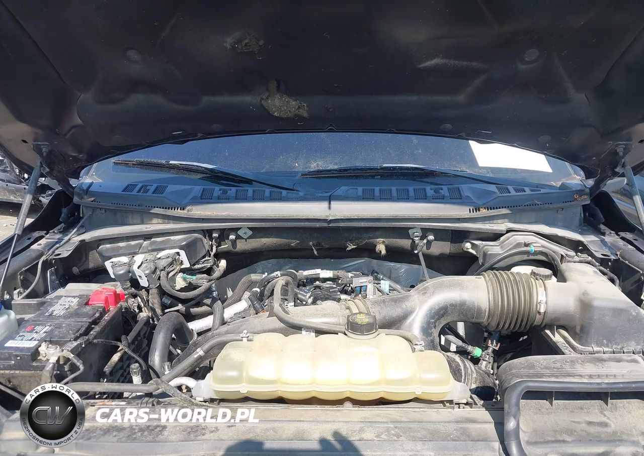 2020 Ford F-150 Xlt VIN:1FTEW1EP2LFA10398 - 10