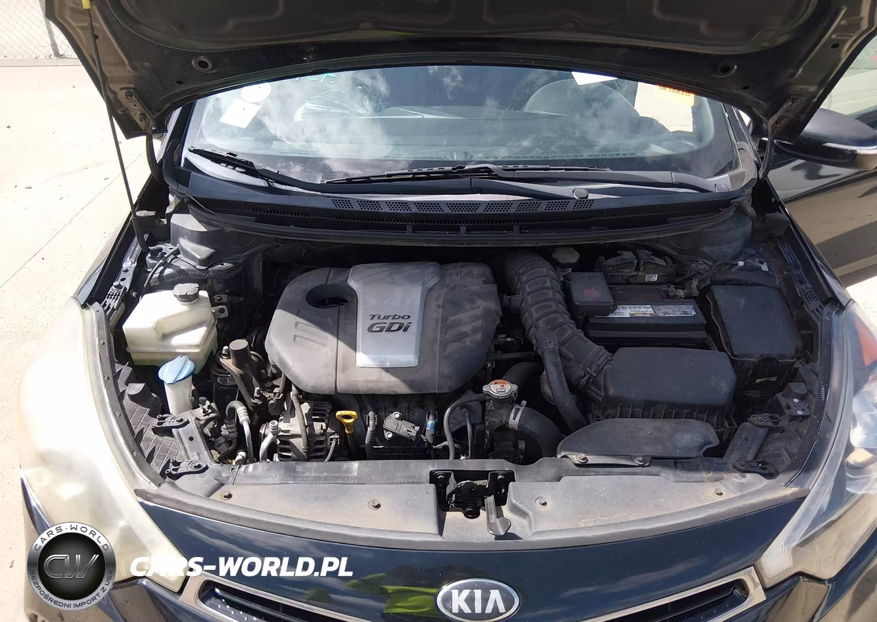 2015 Kia Forte Koup Sx VIN:KNAFZ6A30F5403514 - 10