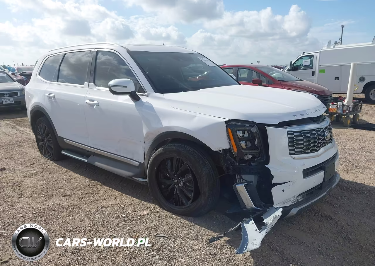 2021 Kia Telluride Sx VIN:5XYP5DHC2MG161715 - 1
