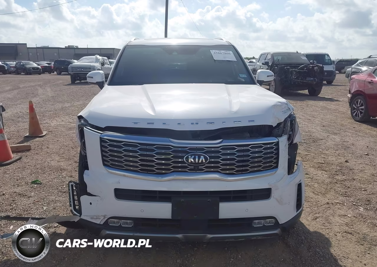 2021 Kia Telluride Sx VIN:5XYP5DHC2MG161715 - 12
