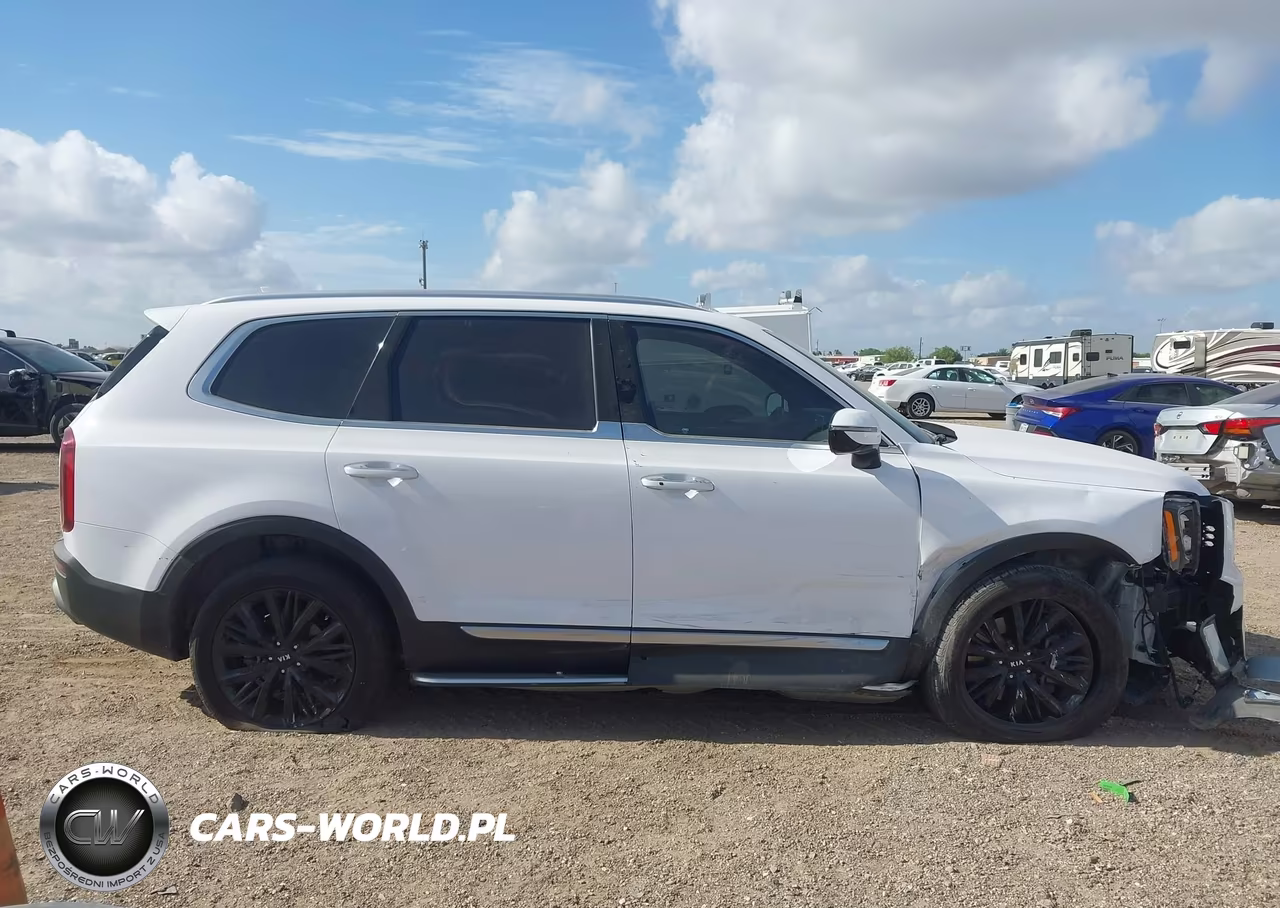 2021 Kia Telluride Sx VIN:5XYP5DHC2MG161715 - 13