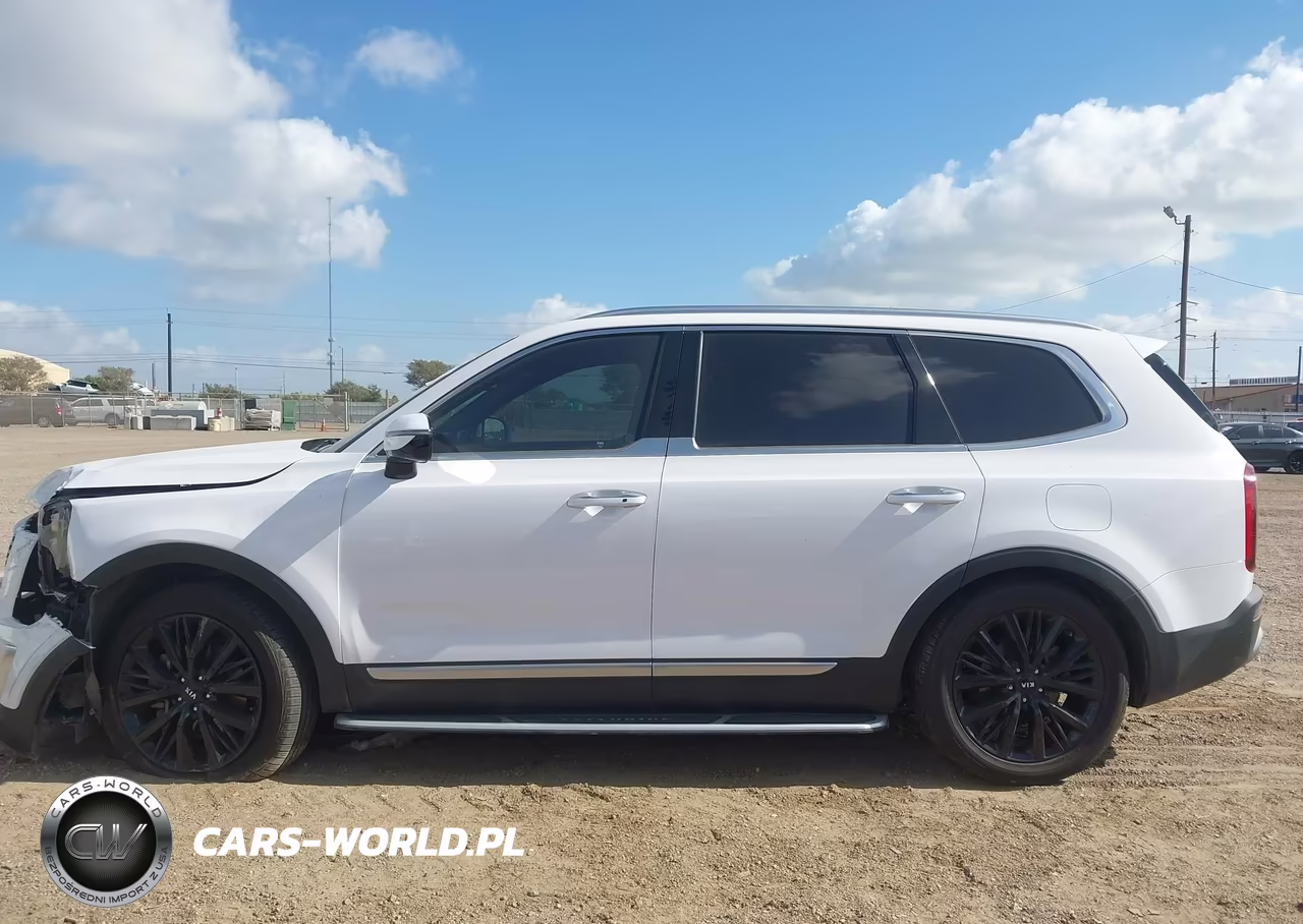 2021 Kia Telluride Sx VIN:5XYP5DHC2MG161715 - 14