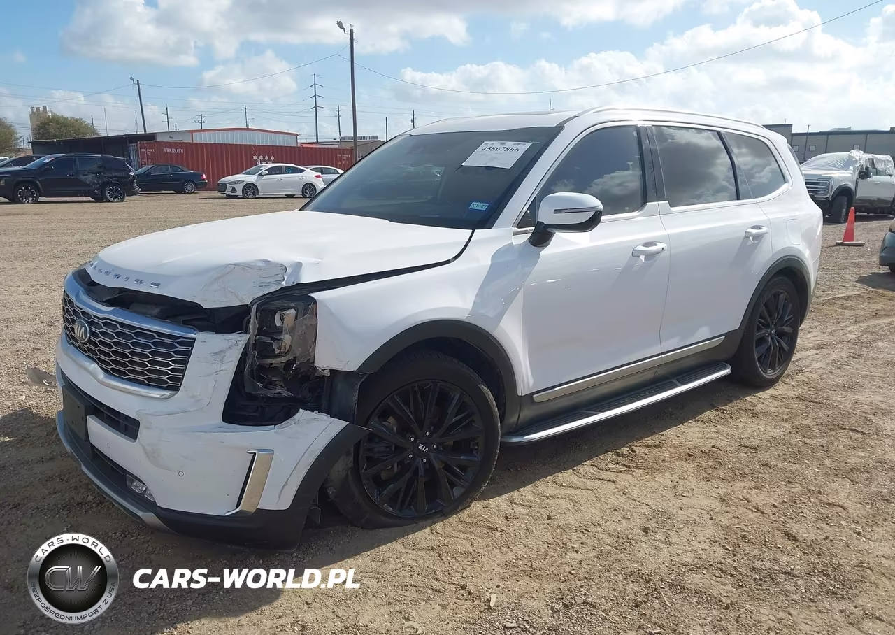 2021 Kia Telluride Sx VIN:5XYP5DHC2MG161715 - 2