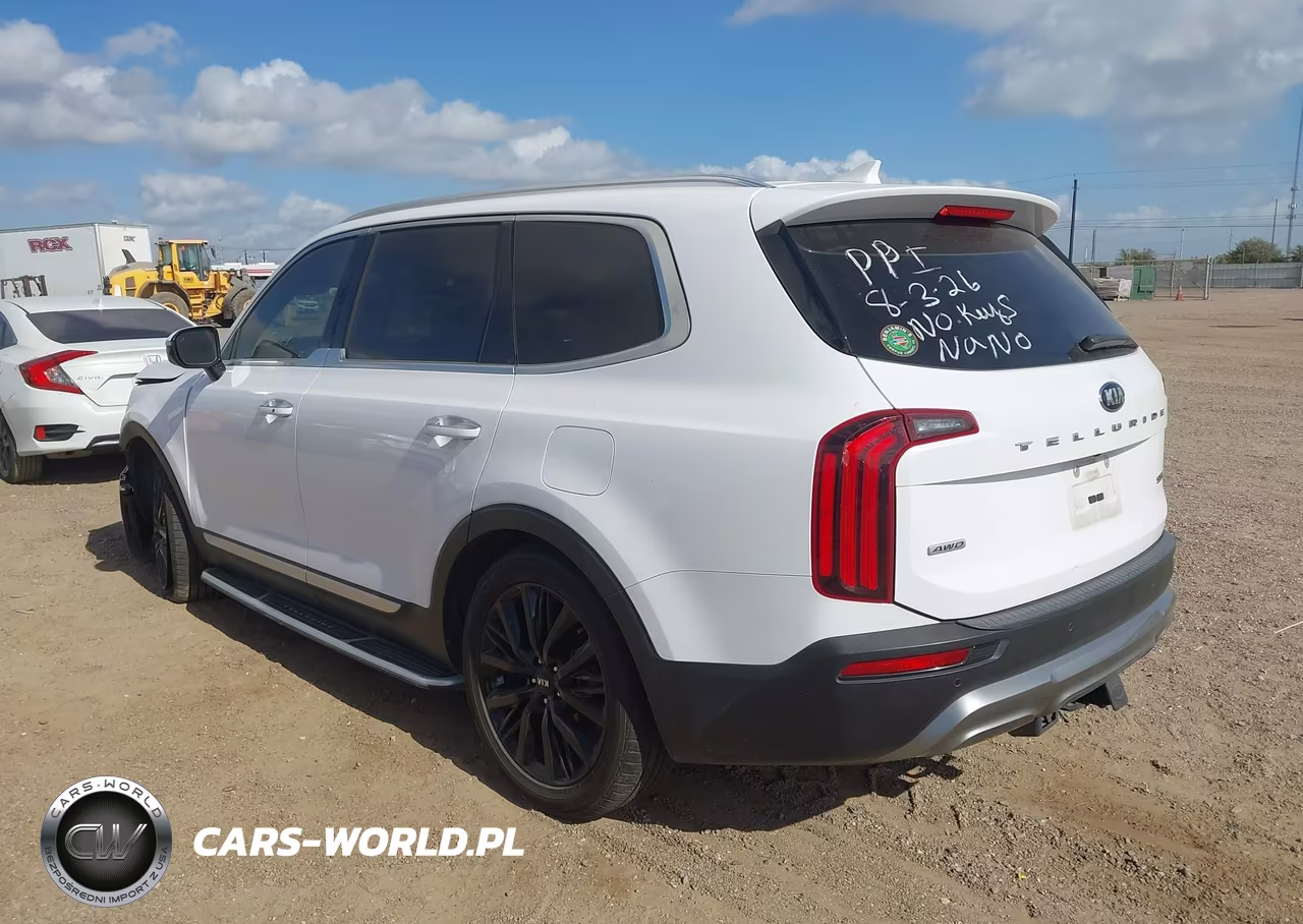 2021 Kia Telluride Sx VIN:5XYP5DHC2MG161715 - 3