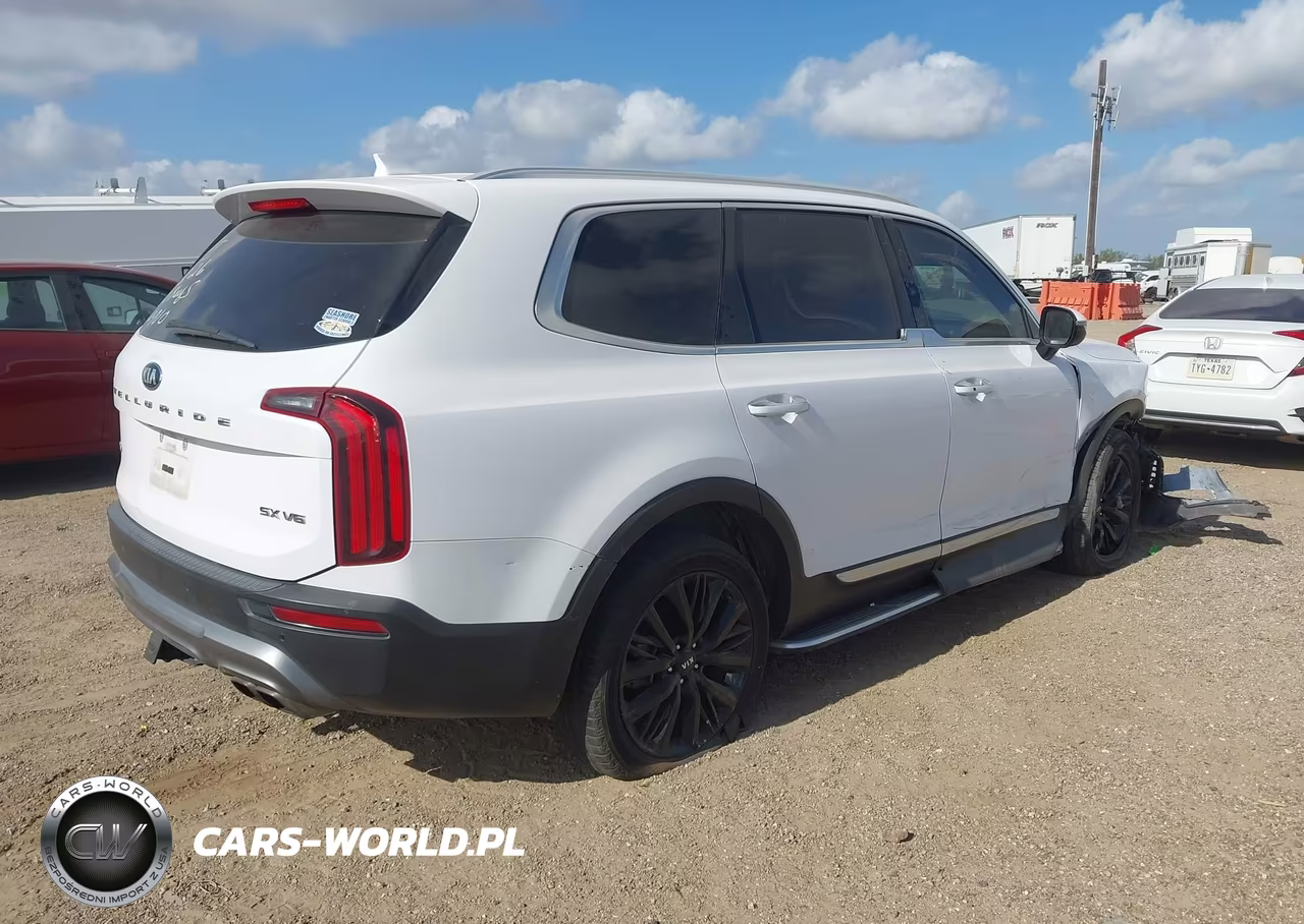 2021 Kia Telluride Sx VIN:5XYP5DHC2MG161715 - 4