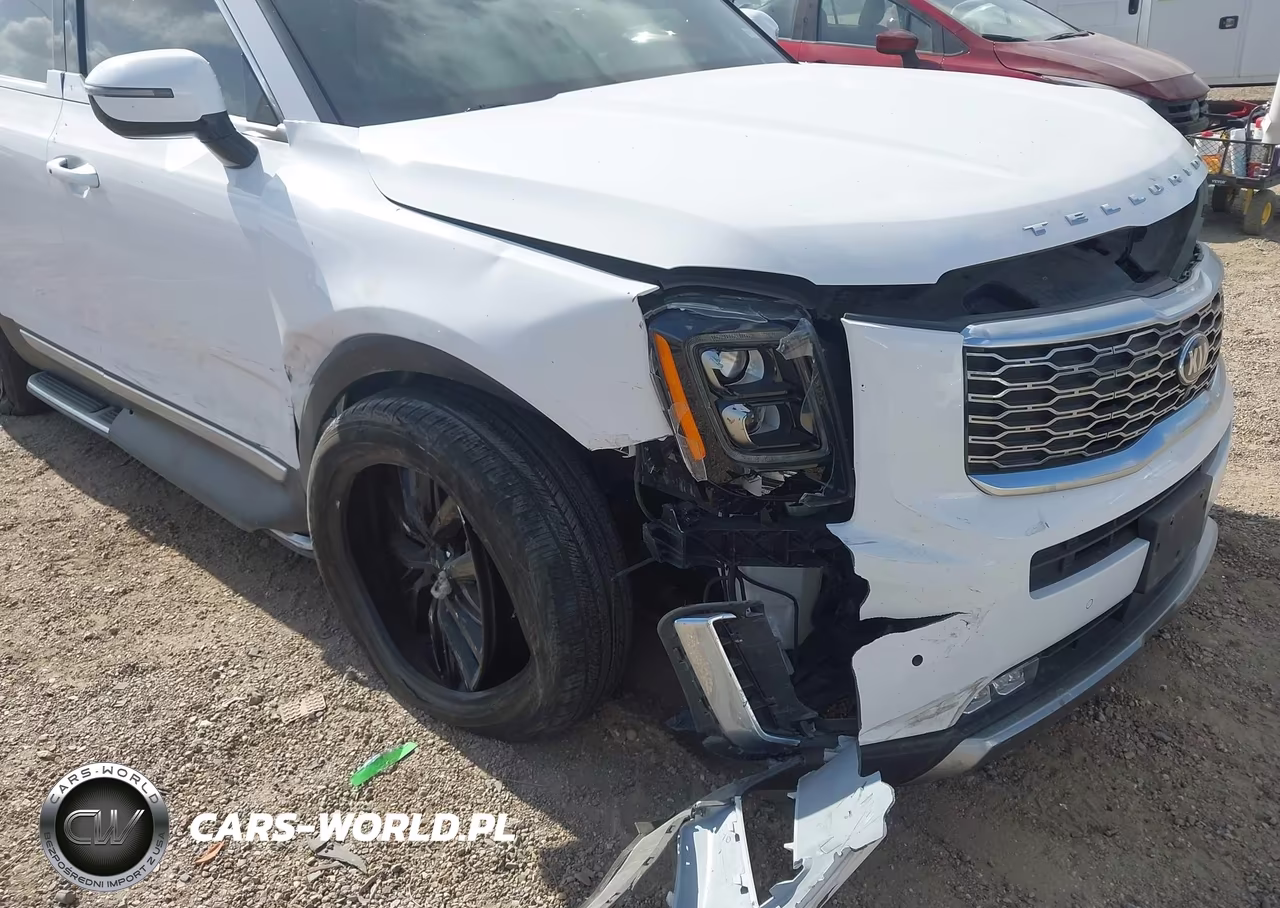 2021 Kia Telluride Sx VIN:5XYP5DHC2MG161715 - 6