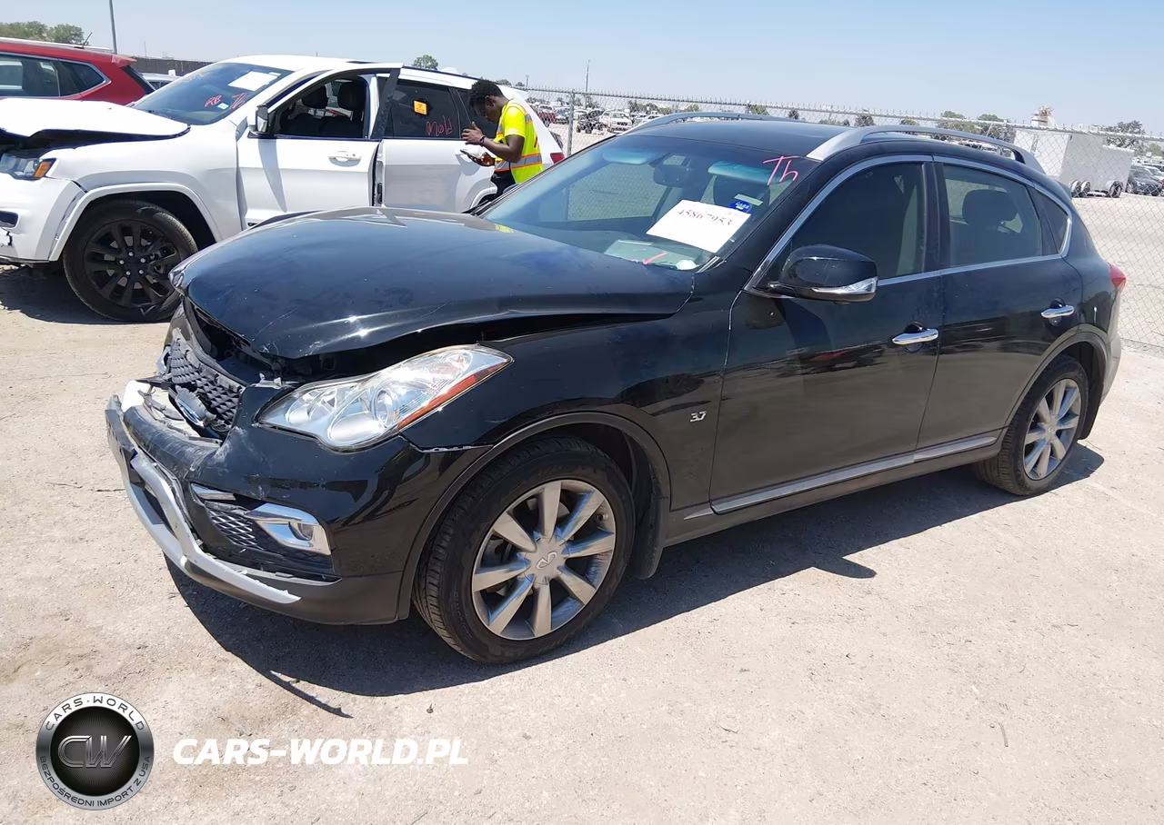 2016 Infiniti Qx50 VIN:JN1BJ0RP6GM234025 - 2