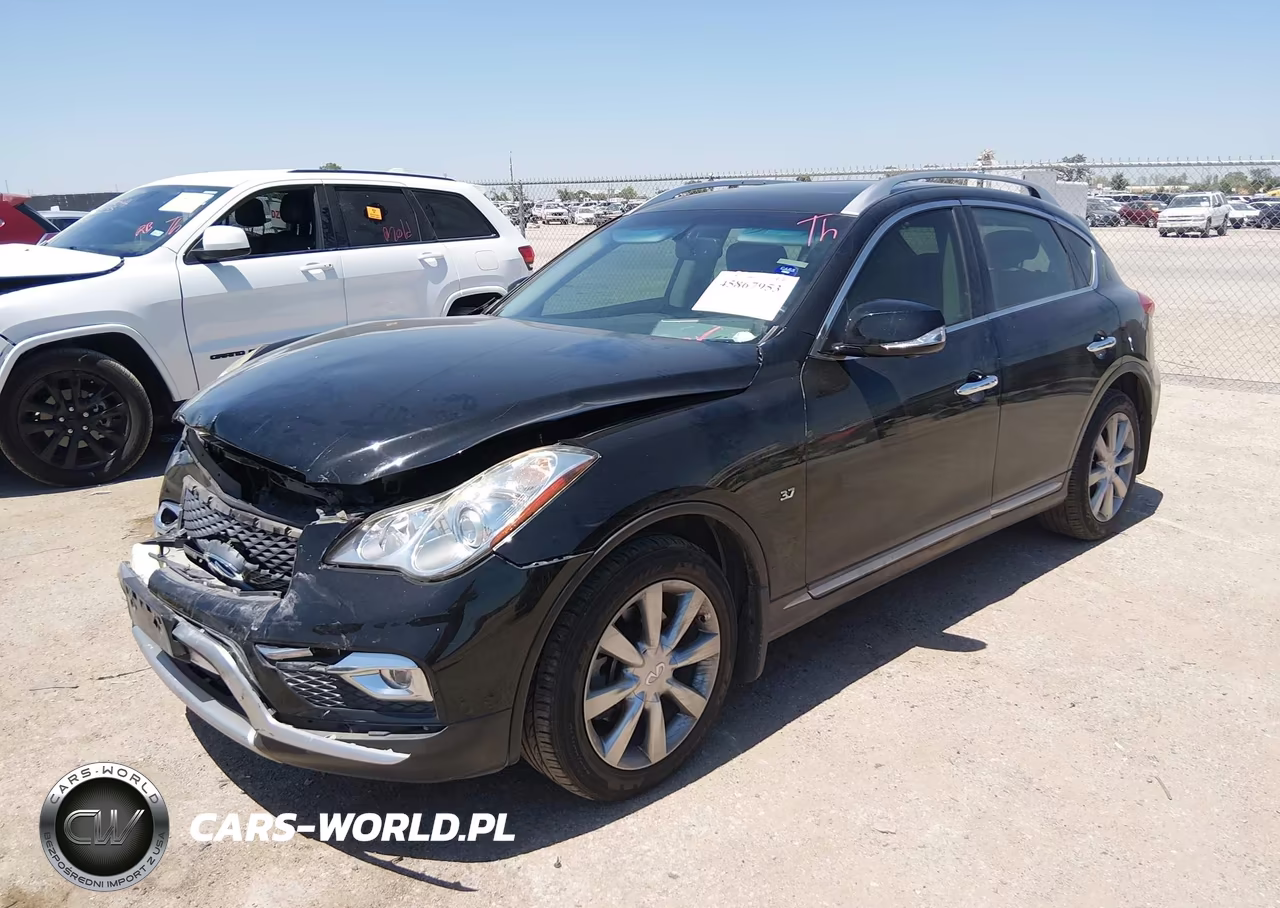 2016 Infiniti Qx50 VIN:JN1BJ0RP6GM234025 - 6