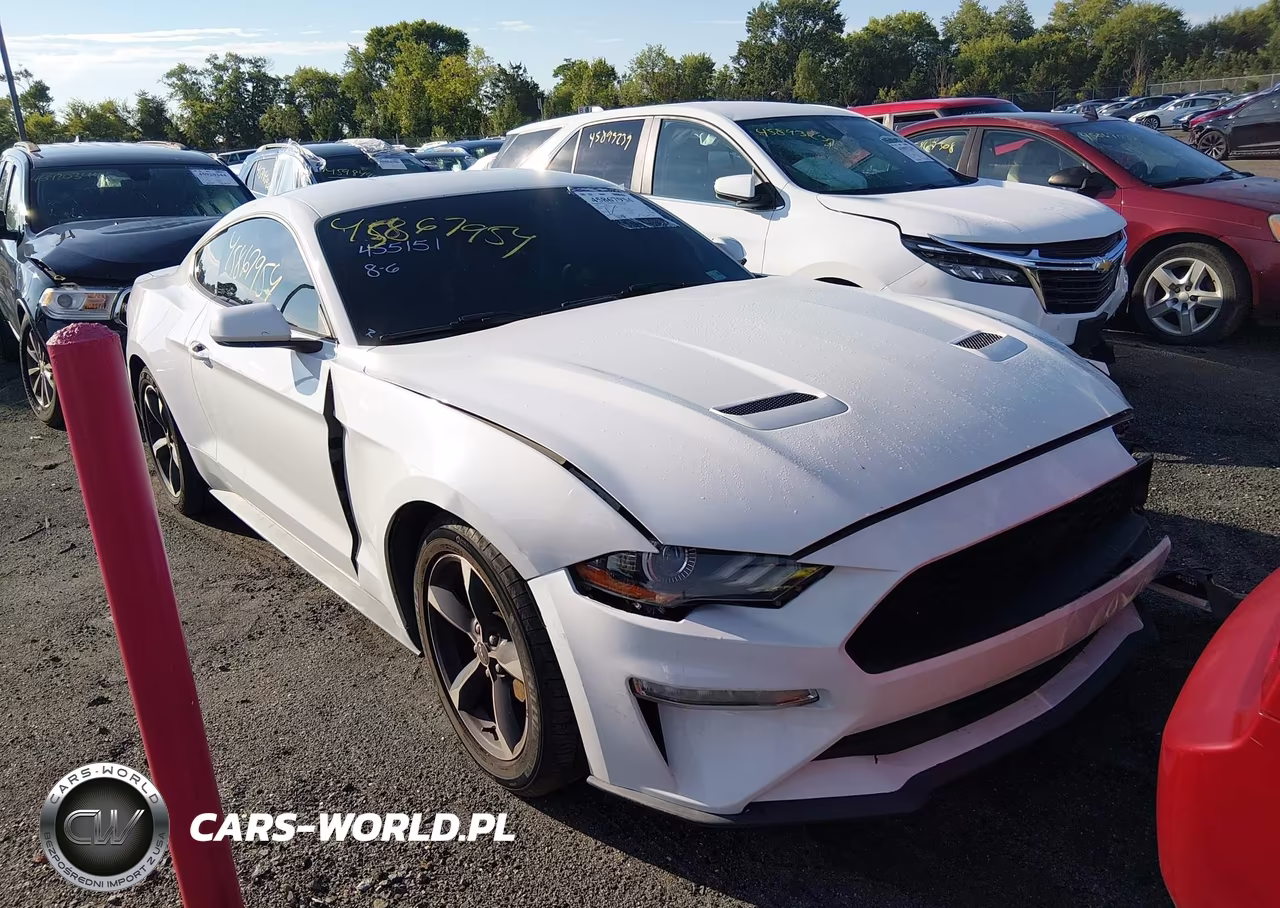 2019 Ford Mustang Ecoboost