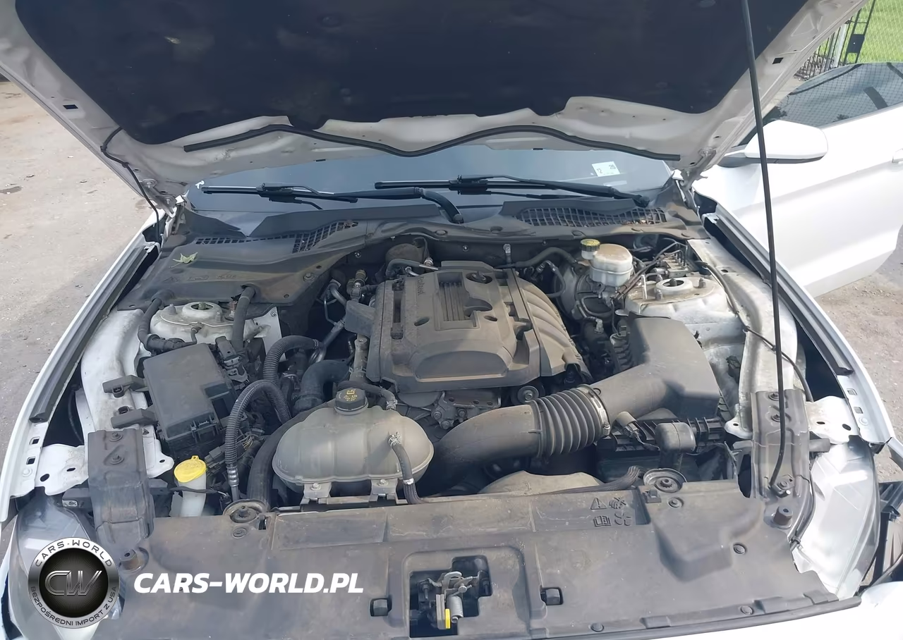 2019 Ford Mustang Ecoboost VIN:1FA6P8TH7K5133369 - 10