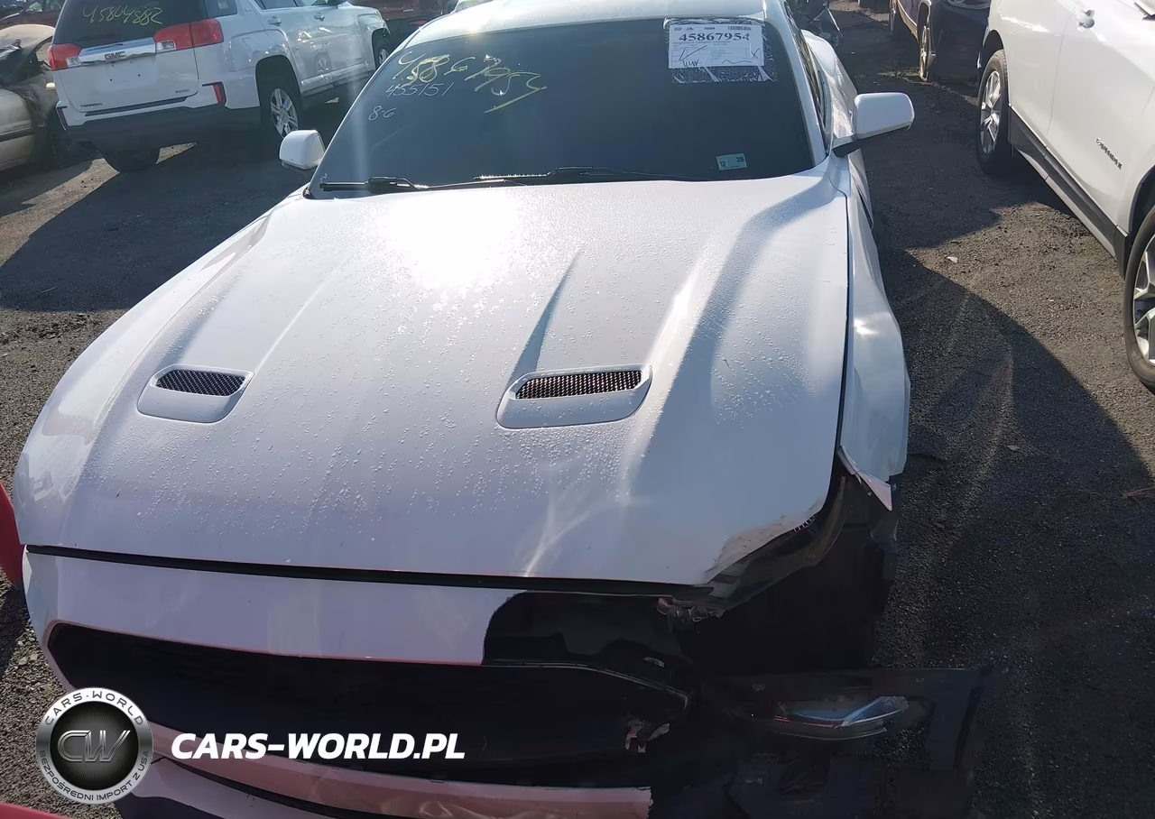 2019 Ford Mustang Ecoboost VIN:1FA6P8TH7K5133369 - 12