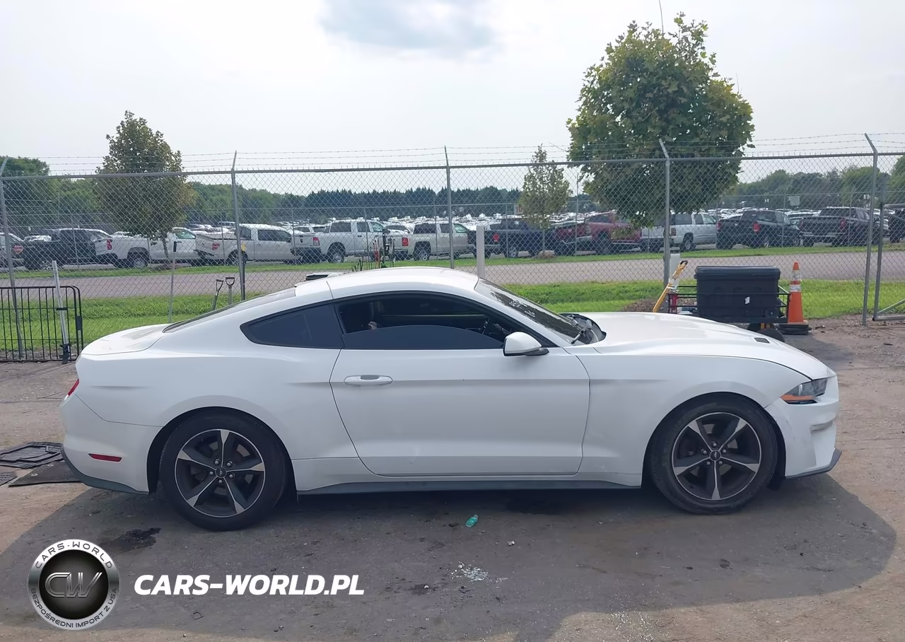 2019 Ford Mustang Ecoboost VIN:1FA6P8TH7K5133369 - 13