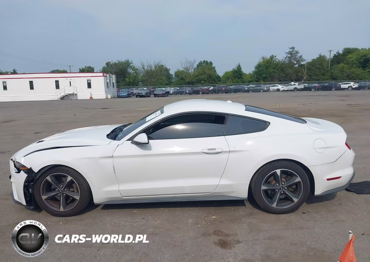 2019 Ford Mustang Ecoboost VIN:1FA6P8TH7K5133369 - 14