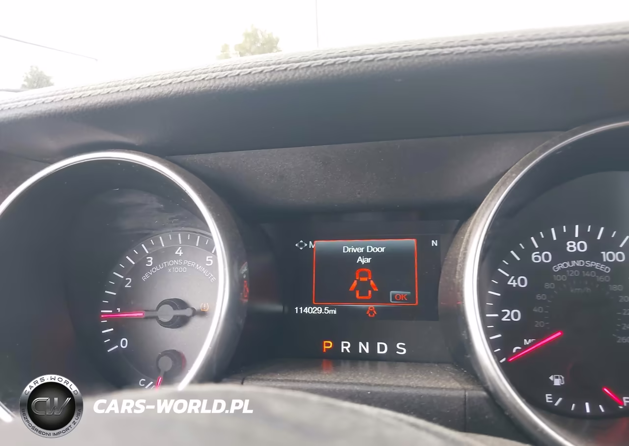 2019 Ford Mustang Ecoboost VIN:1FA6P8TH7K5133369 - 15