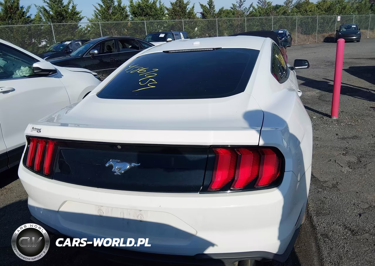 2019 Ford Mustang Ecoboost VIN:1FA6P8TH7K5133369 - 16