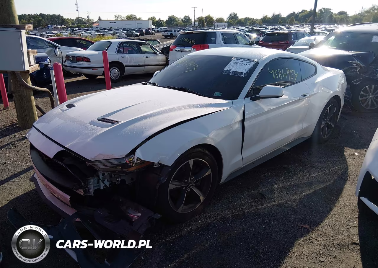 2019 Ford Mustang Ecoboost VIN:1FA6P8TH7K5133369 - 2
