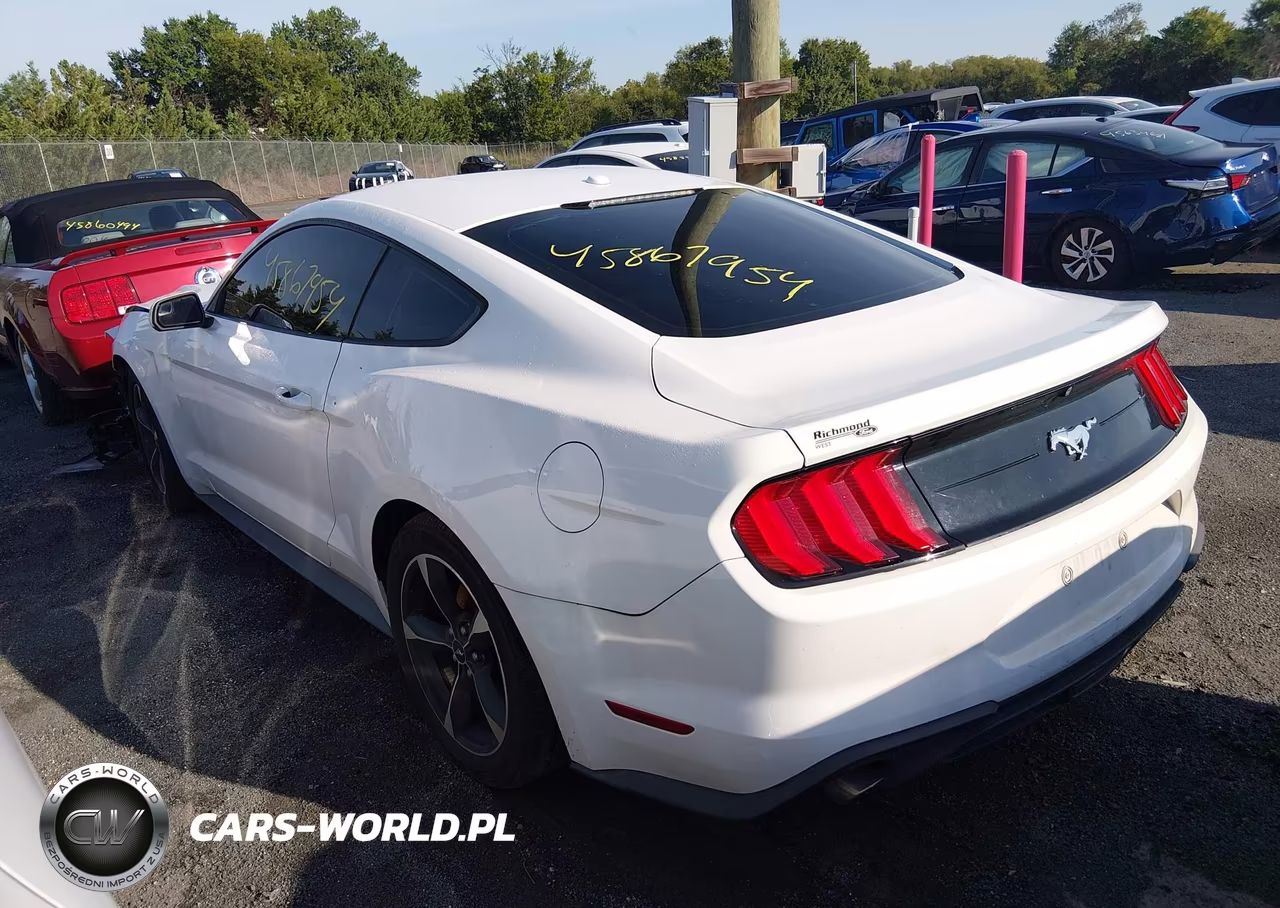 2019 Ford Mustang Ecoboost VIN:1FA6P8TH7K5133369 - 3