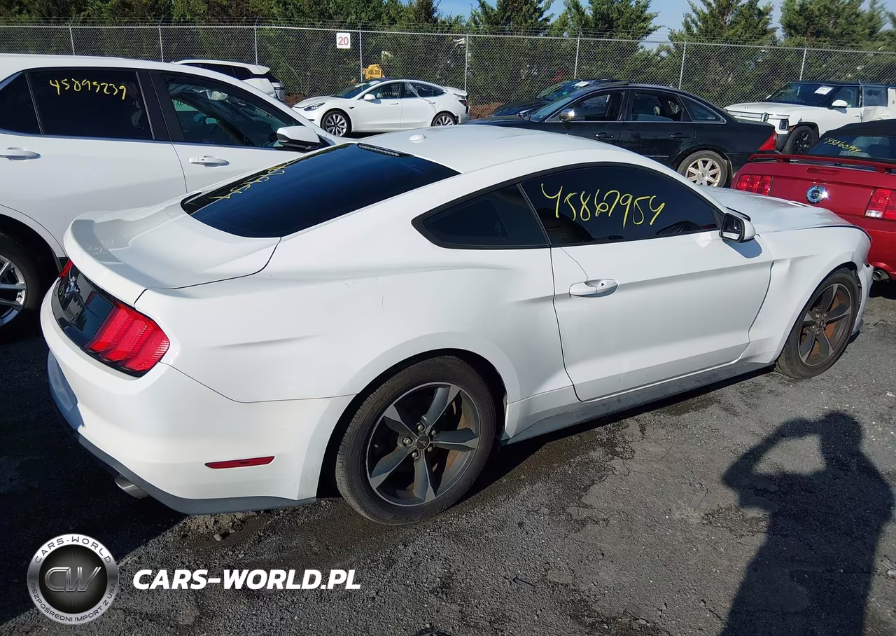 2019 Ford Mustang Ecoboost VIN:1FA6P8TH7K5133369 - 4