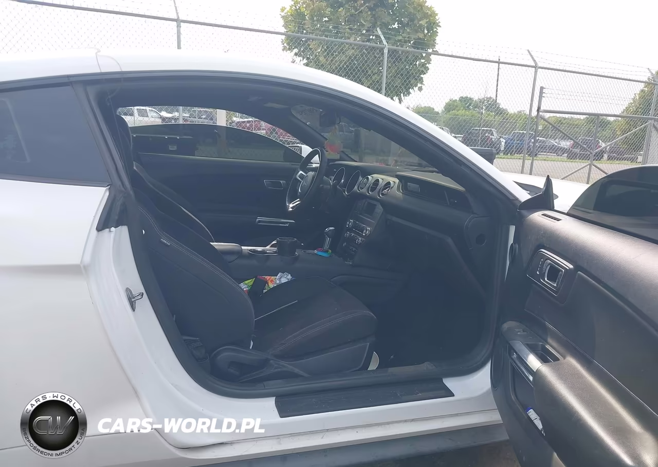 2019 Ford Mustang Ecoboost VIN:1FA6P8TH7K5133369 - 5
