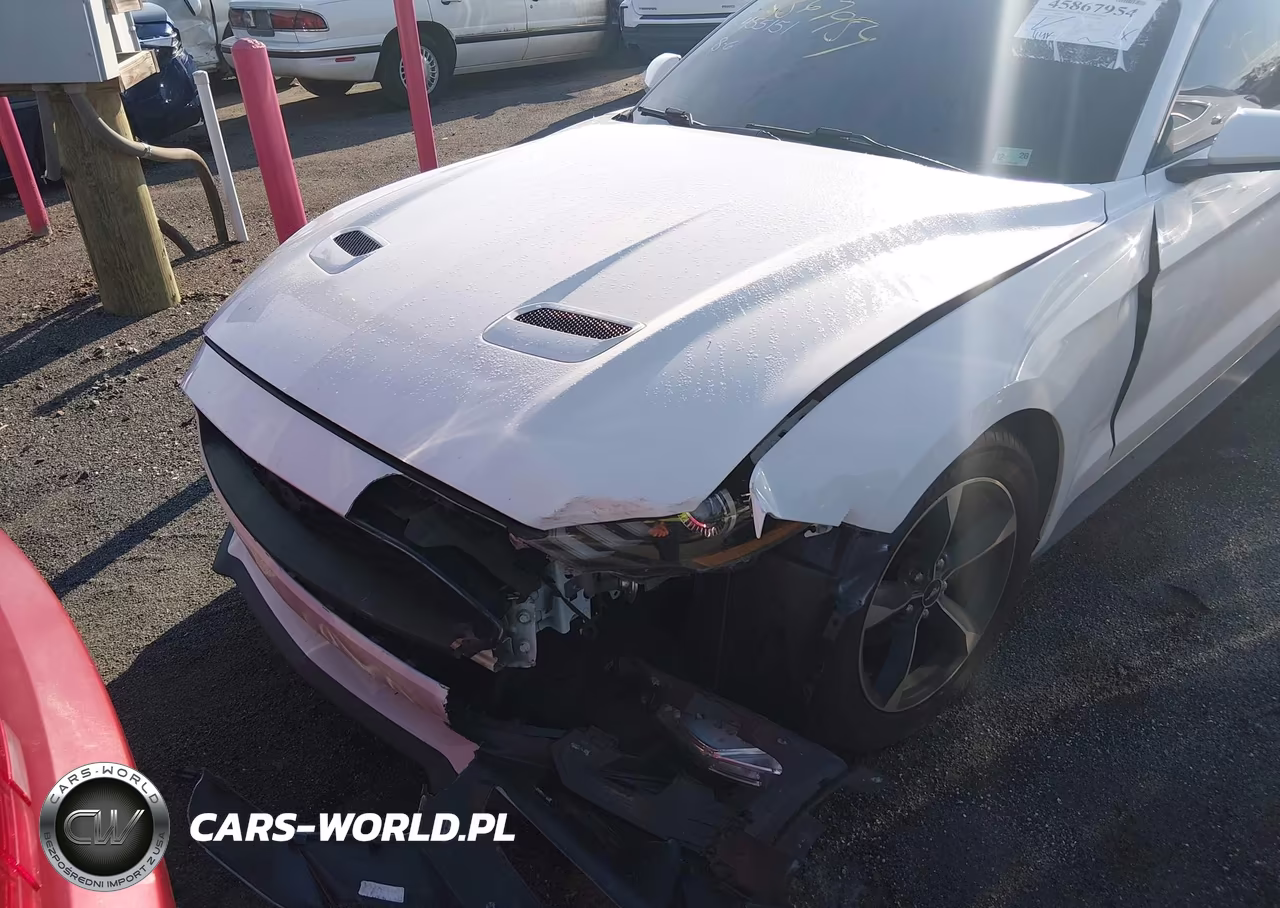 2019 Ford Mustang Ecoboost VIN:1FA6P8TH7K5133369 - 6