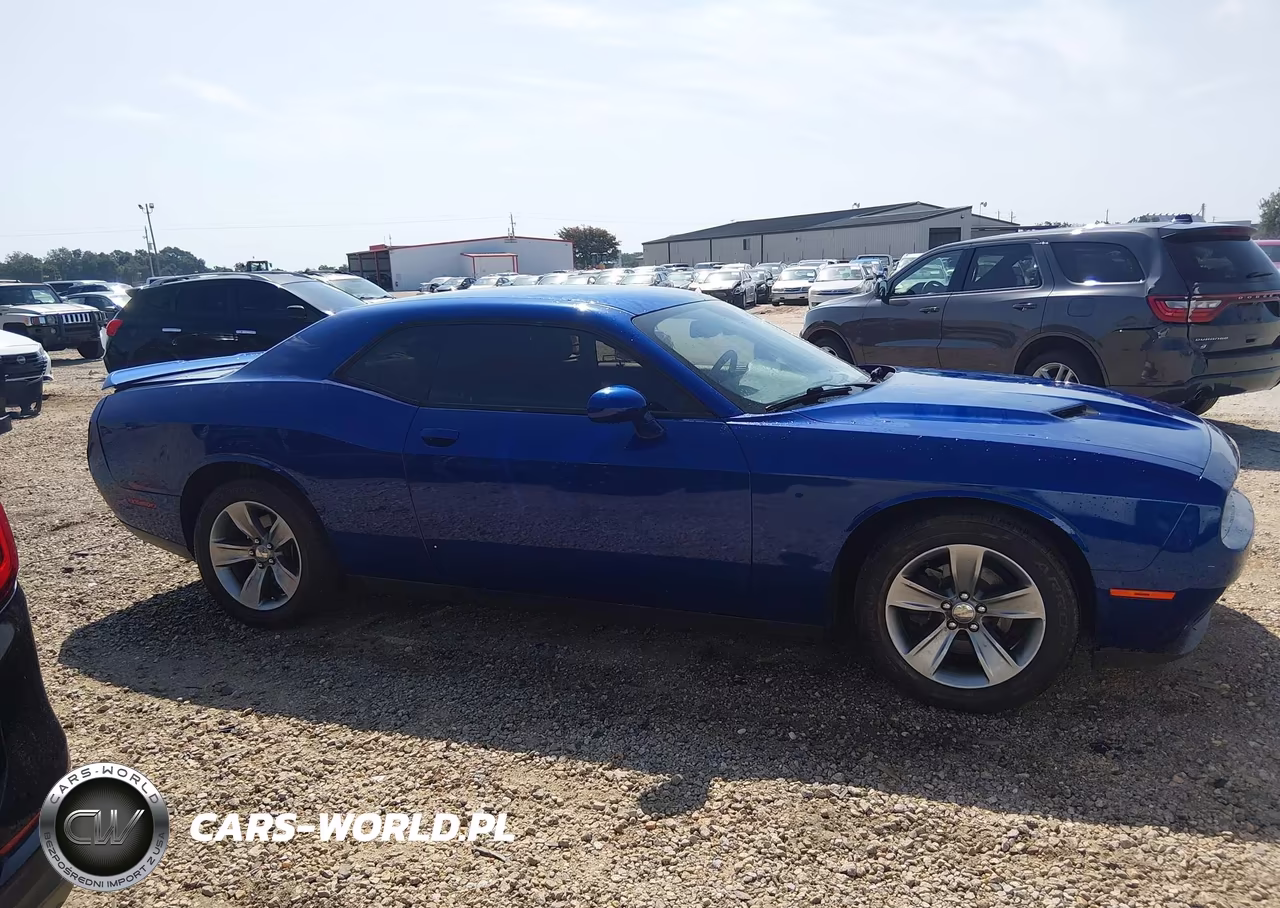 2020 Dodge Challenger Sxt VIN:2C3CDZAG1LH135199 - 13