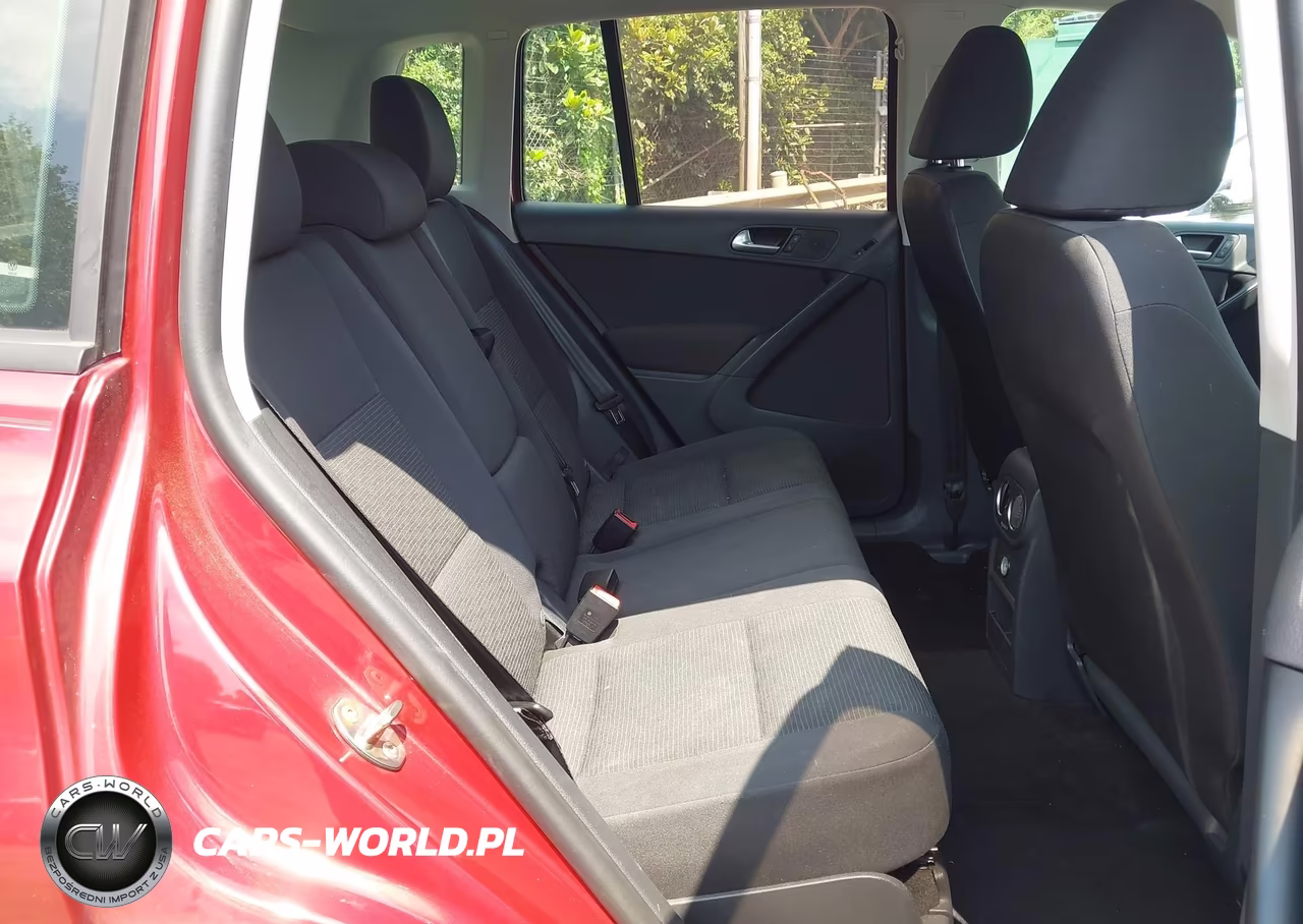 2015 Volkswagen Tiguan S VIN:WVGBV7AX6FW091565 - 8